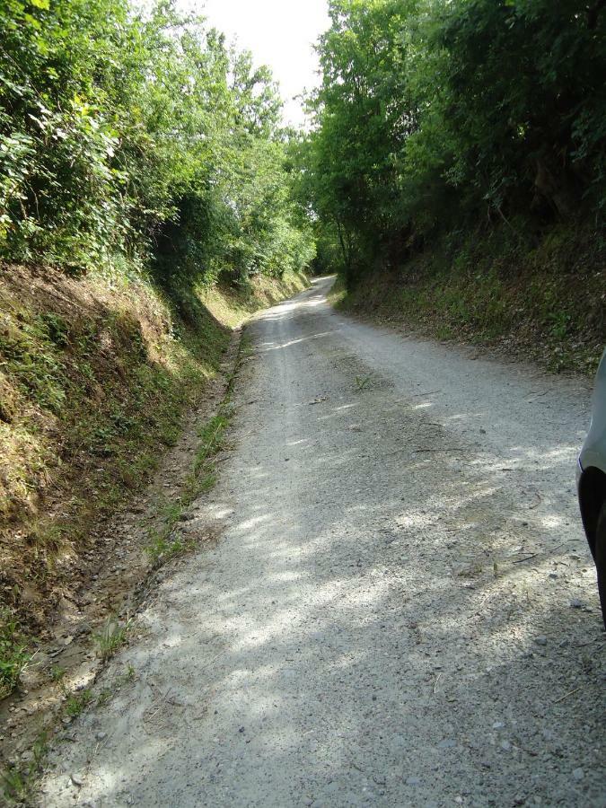 B&B Il Pittore Borgo San Lorenzo Buitenkant foto